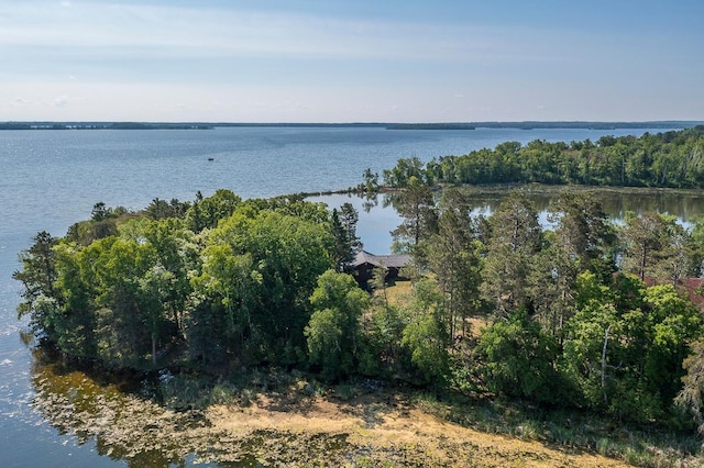 6685 Point Dr, Ideal Twp, MN 56474 - photo 36
