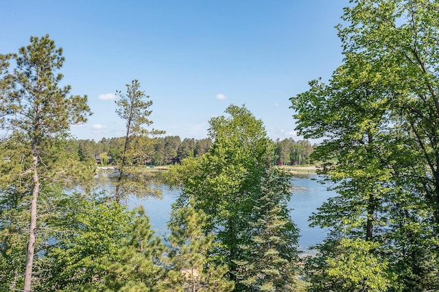 6685 Point Dr, Ideal Twp, MN 56474 - photo 39