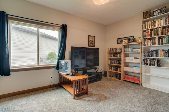 1908 65th Ave S, Fargo, ND 58104 - living area featuring carpet floors and baseboards