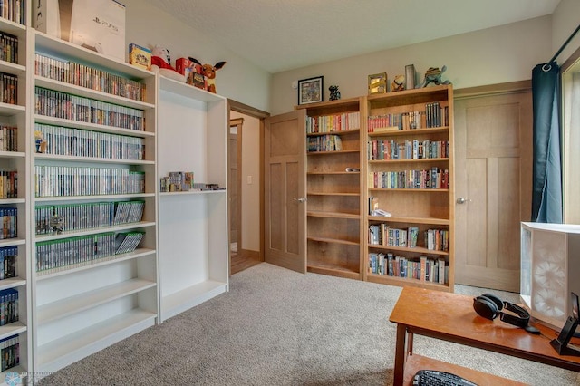 1908 65th Ave S, Fargo, ND 58104 - sitting room with wall of books and carpet floors