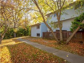 4819 Grenwich Way N, Oakdale, MN 55128 - view of yard