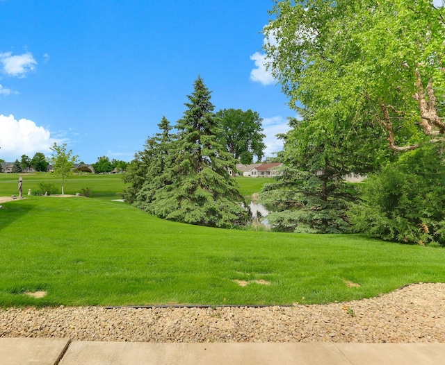 9149 Farnsworth Ave N, Brooklyn Park, MN 55443 - view of green lawn
