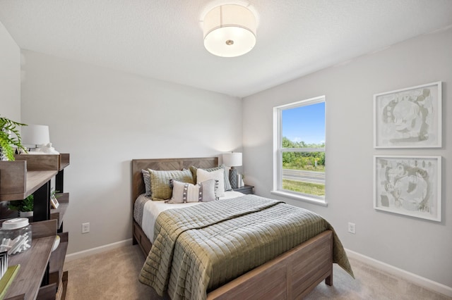 23221 Creekview Ct, Rogers, MN 55374 - carpeted bedroom featuring baseboards