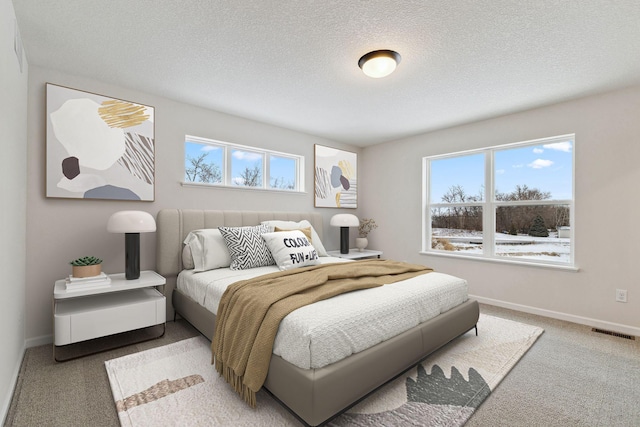 23229 Creekview Ct, Rogers, MN 55374 - carpeted bedroom featuring baseboards and a textured ceiling