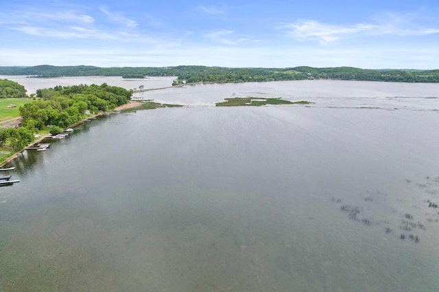 24505 Twilight Ln, Lida Twp, MN 56572 - water view