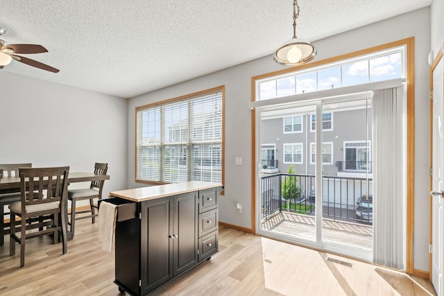 4107 Regent Ave N, Robbinsdale, MN 55422 - kitchen with ceiling fan, a textured ceiling, light wood-type flooring, dark cabinets, and plenty of natural light