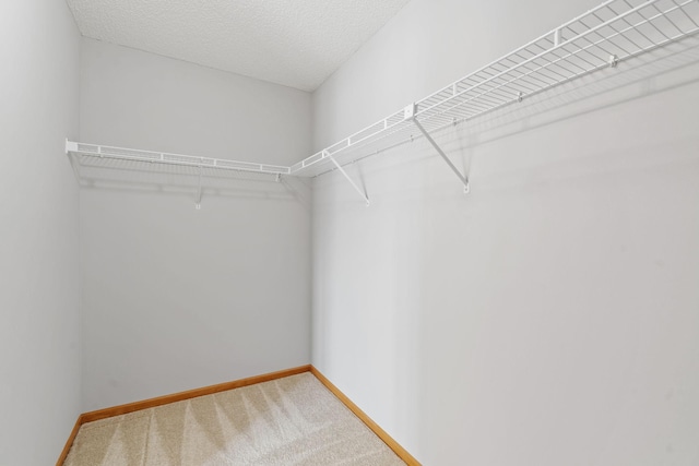 4107 Regent Ave N, Robbinsdale, MN 55422 - walk in closet featuring light carpet