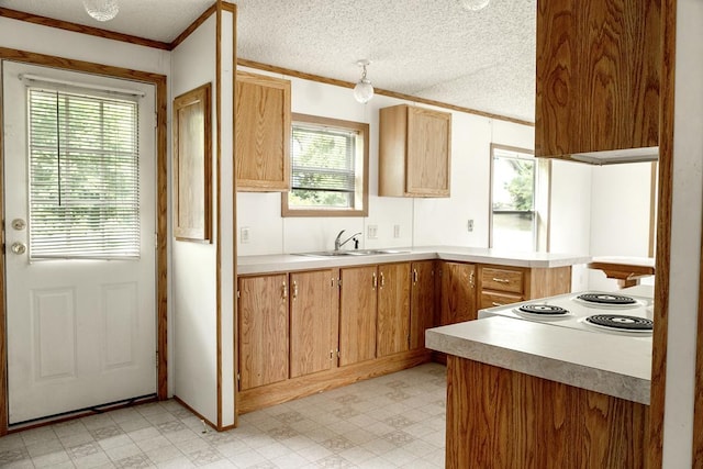 6709 Sunrise Rd, Harris, MN 55032 - photo 6