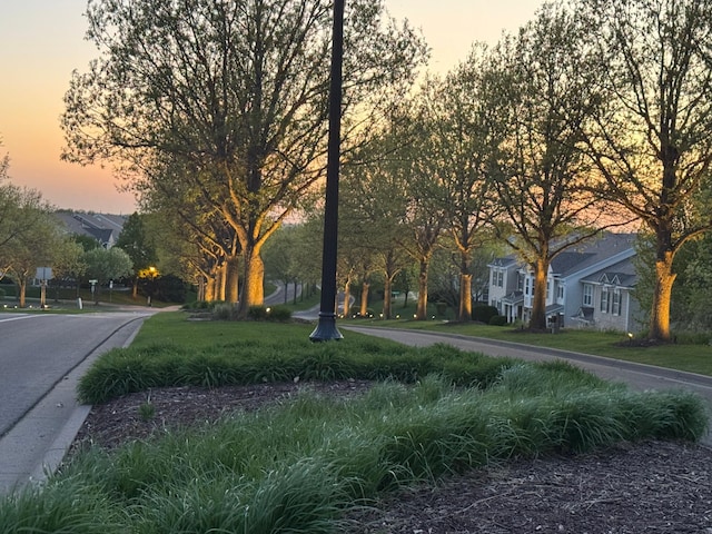 3661 Hazel Trl Unit H, Woodbury, MN 55129 - view of asphalt road featuring a residential view