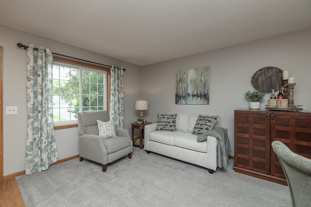 8821 Jonquil Ln N, Maple Grove, MN 55369 - living area featuring baseboards