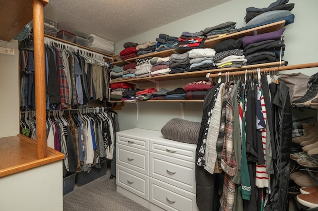 8821 Jonquil Ln N, Maple Grove, MN 55369 - walk in closet featuring carpet