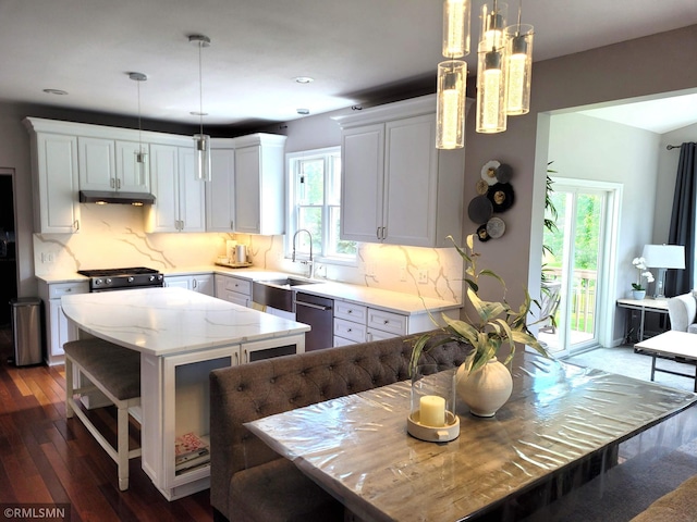 10402 Indiana Ave N, Brooklyn Park, MN 55443 - kitchen featuring a sink, under cabinet range hood, a center island, stainless steel dishwasher, and open shelves