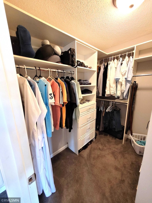 10402 Indiana Ave N, Brooklyn Park, MN 55443 - spacious closet with dark colored carpet