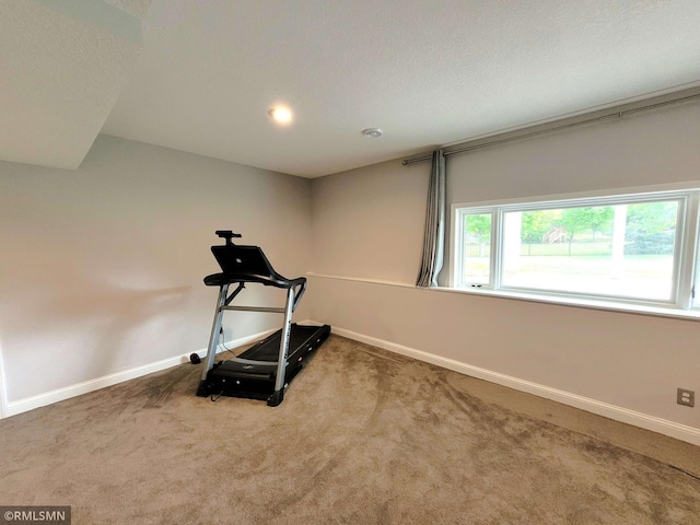 10402 Indiana Ave N, Brooklyn Park, MN 55443 - workout area with carpet floors, baseboards, and a textured ceiling