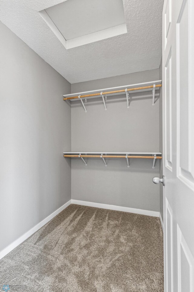 1586 Baywood Dr, Fargo, ND 58078 - walk in closet featuring carpet flooring and attic access