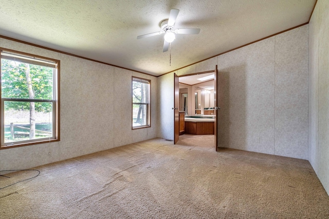 45379 Crystal Hills Dr, Lida Twp, MN 56572 - empty room with crown molding, light carpet, a textured ceiling, a ceiling fan, and vaulted ceiling