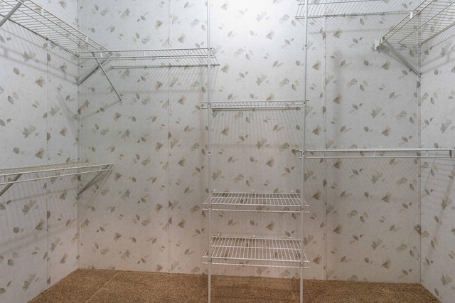 45379 Crystal Hills Dr, Lida Twp, MN 56572 - view of walk in closet
