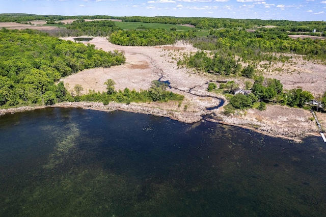 45379 Crystal Hills Dr, Lida Twp, MN 56572 - aerial view of property and surrounding area with a nearby body of water