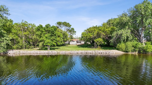 31191 247th Ave, Stony Brook Twp, MN 56590 - photo 4
