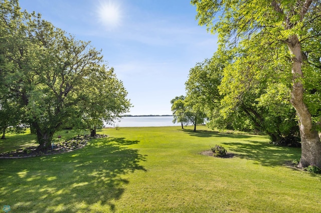 31191 247th Ave, Stony Brook Twp, MN 56590 - photo 7
