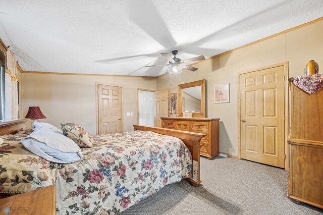 31191 247th Ave, Stony Brook Twp, MN 56590 - photo 30