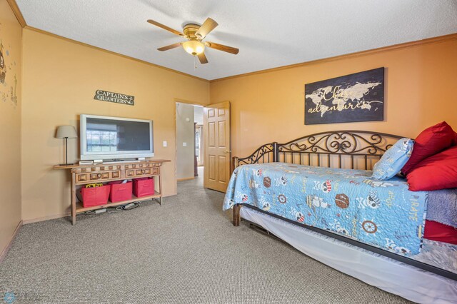31191 247th Ave, Stony Brook Twp, MN 56590 - photo 34