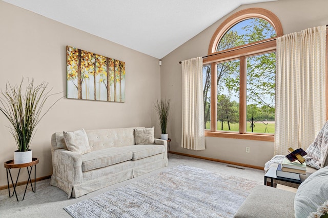 4985 142nd Ln NW, Ramsey, MN 55303 - carpeted living room with lofted ceiling and baseboards