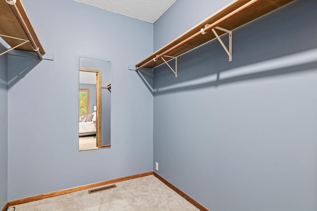 4985 142nd Ln NW, Ramsey, MN 55303 - spacious closet featuring carpet floors