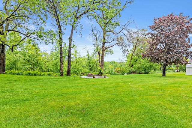 4985 142nd Ln NW, Ramsey, MN 55303 - view of green lawn