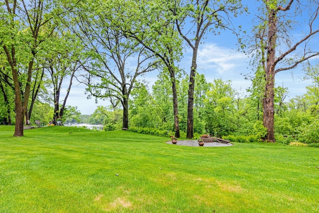 4985 142nd Ln NW, Ramsey, MN 55303 - view of green lawn with a water view