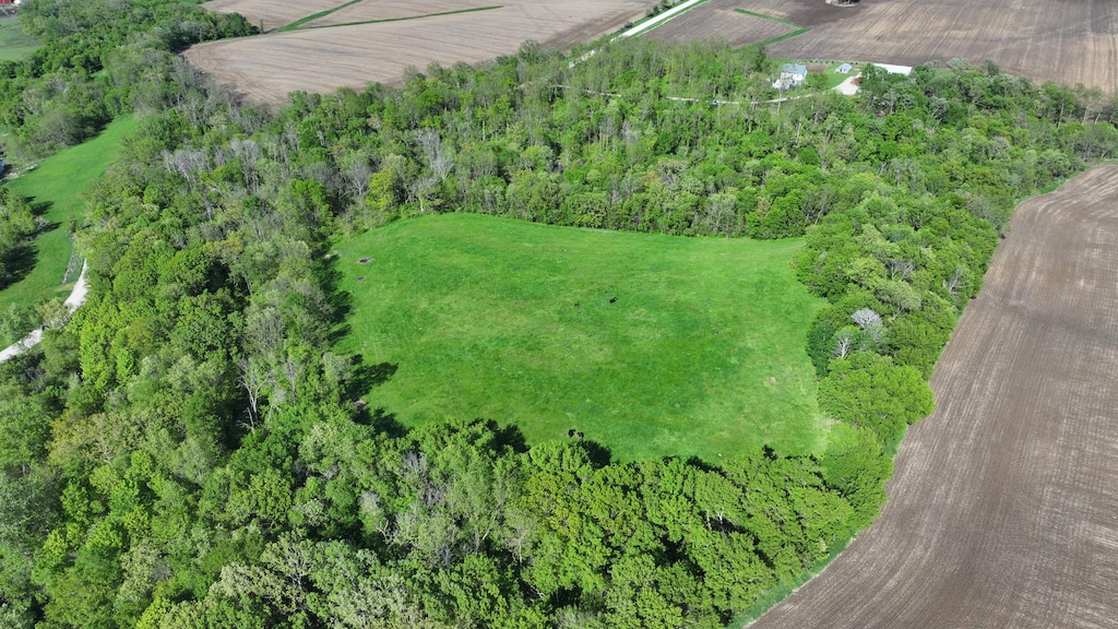 TBD 156th, Harmony Twp, MN 55939