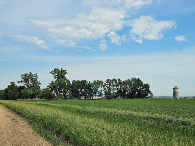 2032 70th Ave, Altona Twp, MN 56164 - view of local wilderness with rural landscape