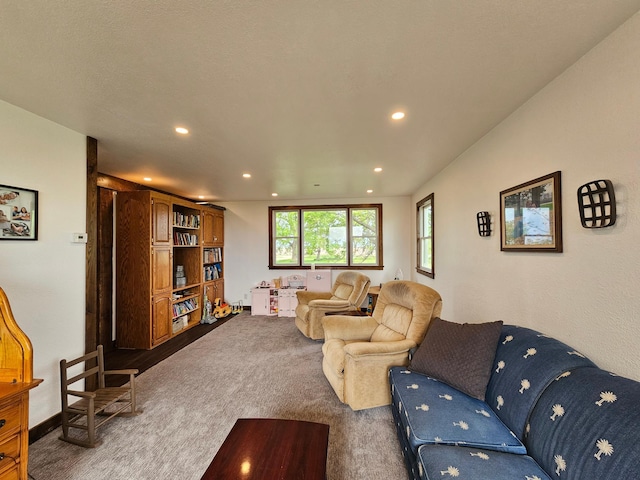 2032 70th Ave, Altona Twp, MN 56164 - living area with carpet flooring and recessed lighting