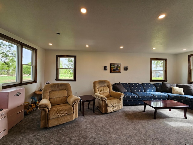 2032 70th Ave, Altona Twp, MN 56164 - living room with carpet and recessed lighting