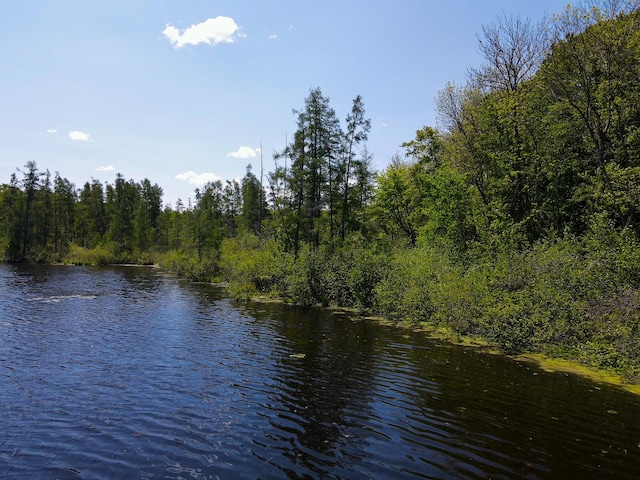 N2174 Pondell Ln, Big Bend Twp, WI 54819