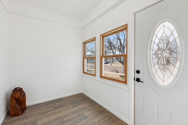 609 2nd Ave NE, Sleepy Eye, MN 56085 - entrance foyer featuring dark wood-style flooring, healthy amount of natural light, and baseboards