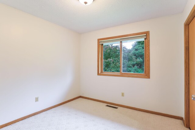 11622 Rio Loma Ln, Burnsville, MN 55337 - spare room with light carpet and baseboards