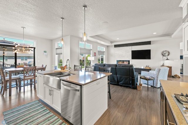 3784 Bell Blvd E, West Fargo, ND 58078 - kitchen with stainless steel appliances, dark wood-style flooring, a tray ceiling, a textured ceiling, and decorative light fixtures
