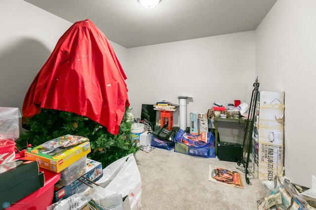 3784 Bell Blvd E, West Fargo, ND 58078 - view of storage room
