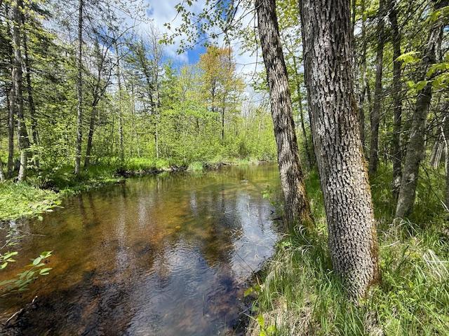 51791 Riverside Ln, Dell Grove Twp, MN 55072