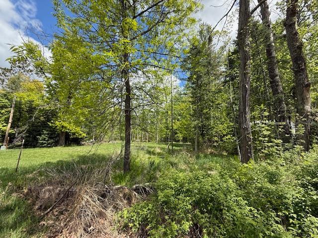 51791 Riverside Ln, Dell Grove Twp, MN 55072