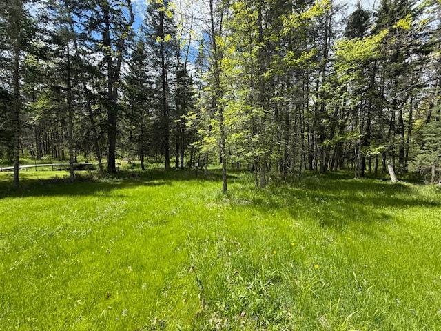 51791 Riverside Ln, Dell Grove Twp, MN 55072