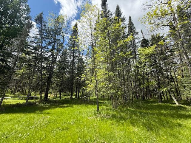 51791 Riverside Ln, Dell Grove Twp, MN 55072