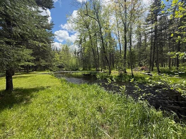 51791 Riverside Ln, Dell Grove Twp, MN 55072