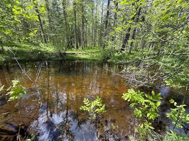 51791 Riverside Ln, Dell Grove Twp, MN 55072