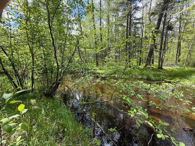 51791 Riverside Ln, Dell Grove Twp, MN 55072