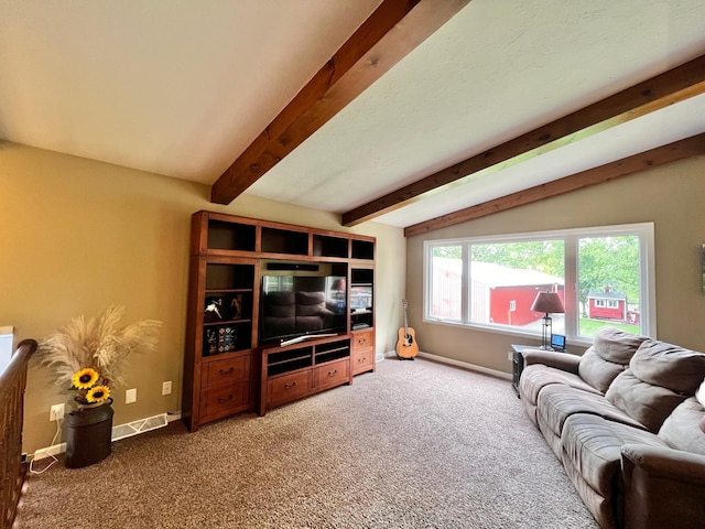 17300 Baseline Ave, Sand Creek Twp, MN 55352 - carpeted living room featuring baseboards