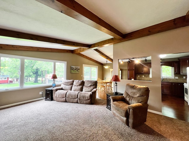 17300 Baseline Ave, Sand Creek Twp, MN 55352 - living area with dark carpet, plenty of natural light, and baseboards