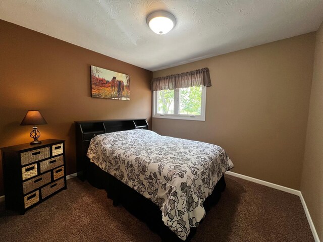 17300 Baseline Ave, Sand Creek Twp, MN 55352 - bedroom with dark carpet and baseboards