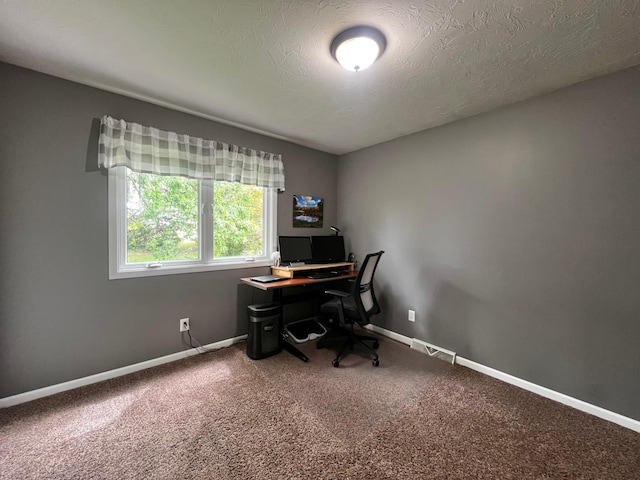 17300 Baseline Ave, Sand Creek Twp, MN 55352 - home office featuring carpet flooring, baseboards, and a textured ceiling